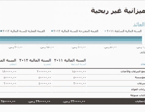 نماذج عمل .. ميزانية غير ربحية تضم التبرعات